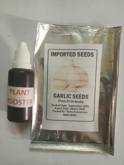 Garlic seeds ( Pack of 20) + Free Plant Growth Serum