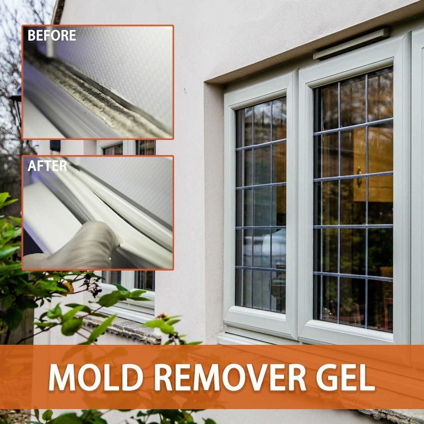 Mold Remover Gel 90 gm